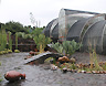 Don't miss the Conservatory of Mexican plants
