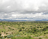 The majestically spacious landscape of el Bajio, Mexico