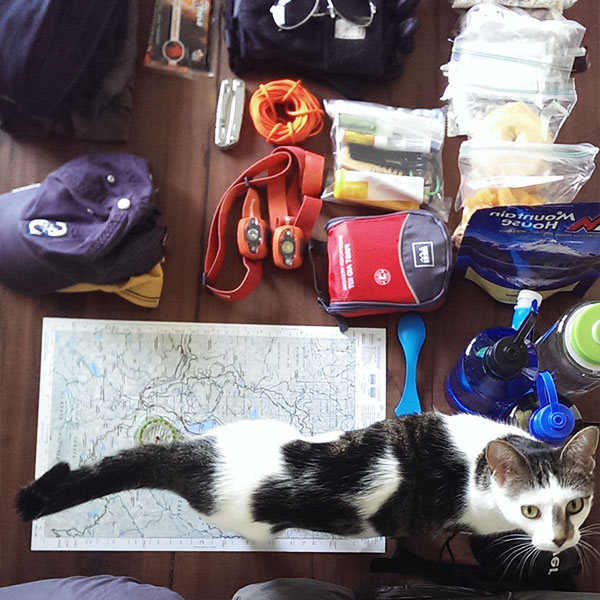 Getting the gear together for the hike. And, no, the kitty didn't come with us.
